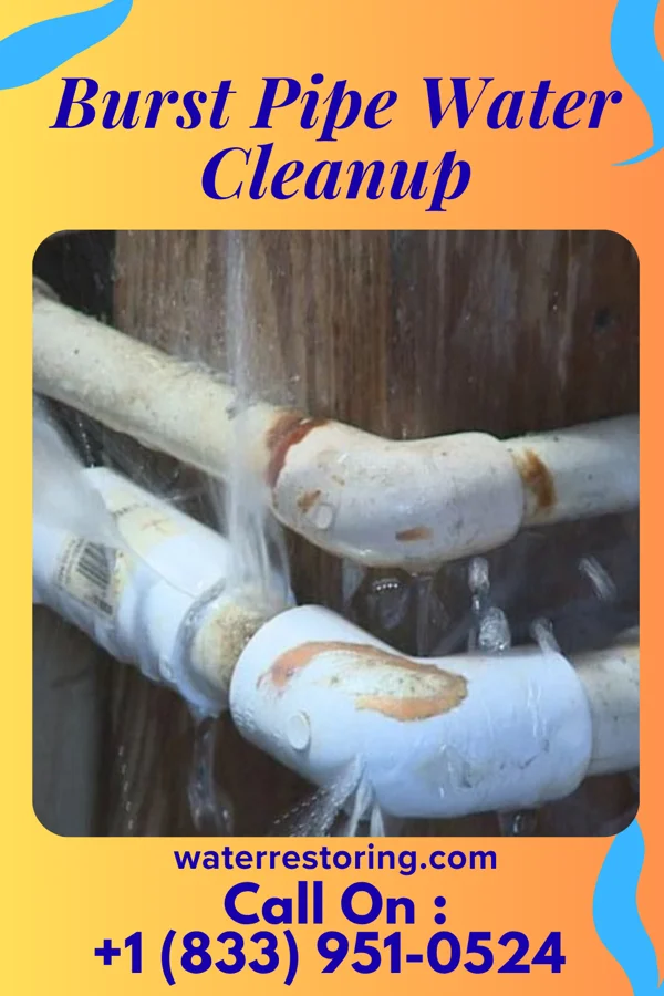 Burst Pipe Water Cleanup in Trimountain, MI