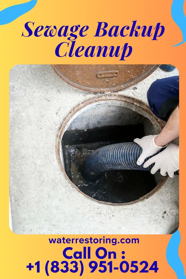 Sewage Backup Cleanup in Trimountain, MI