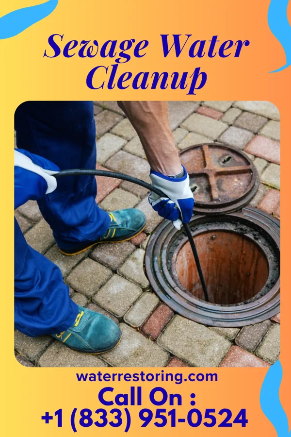Sewage Water Cleanup in Trimountain, MI